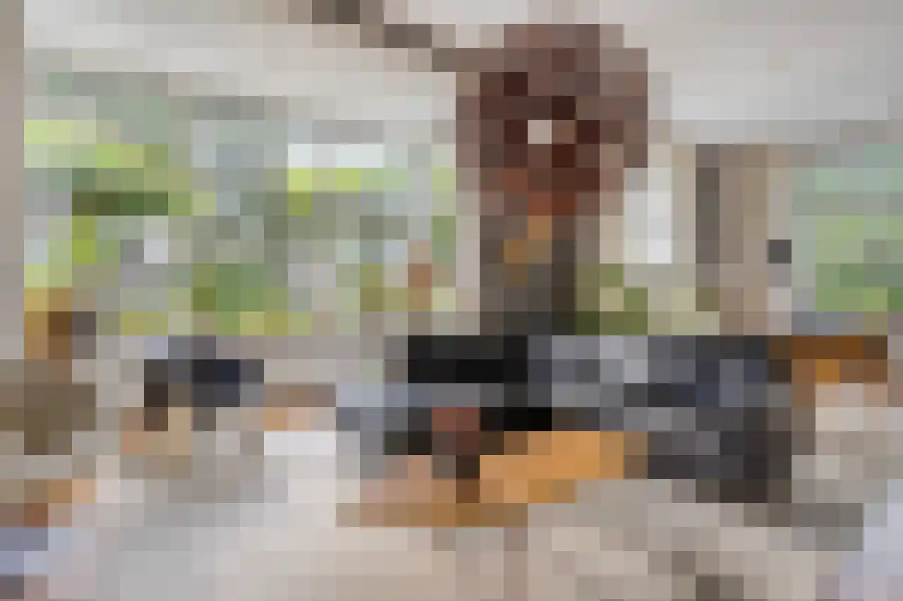 Sprengenweg 72 Apeldoorn thumbnail 6