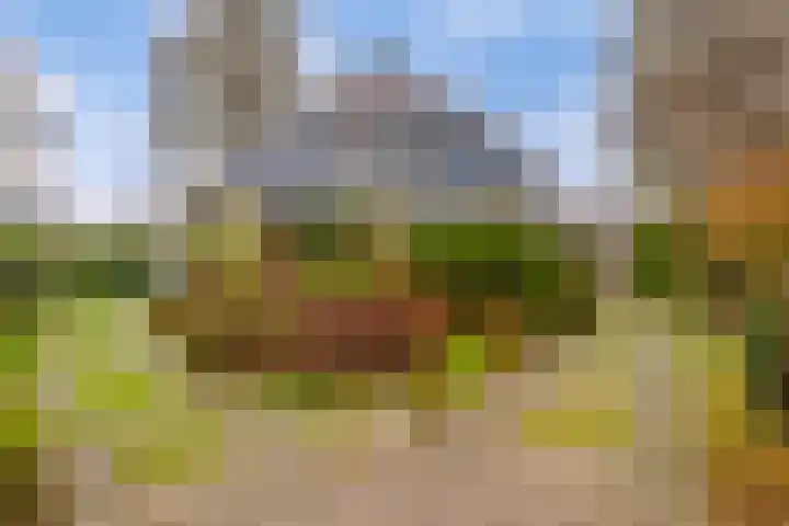 Sprengenweg 74 Apeldoorn thumbnail 4