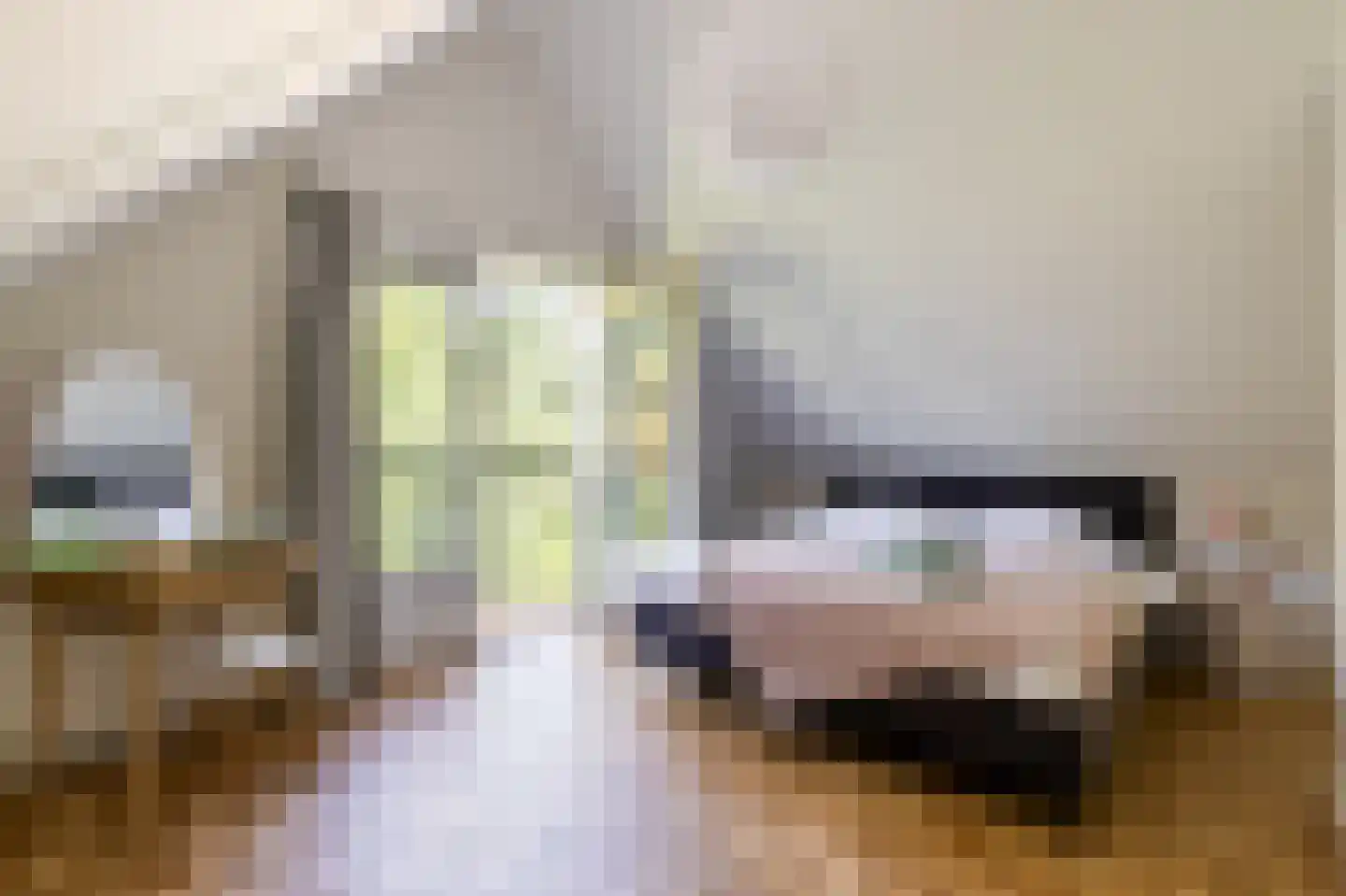 Sprengenweg 75 Epe thumbnail 21