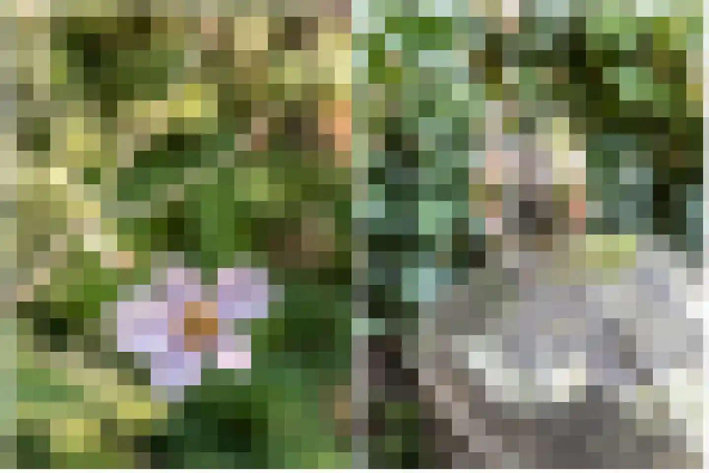 Sprengenweg 75 Epe thumbnail 32