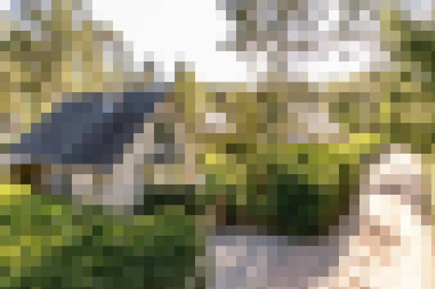 Sprengenweg 75 Epe thumbnail 37