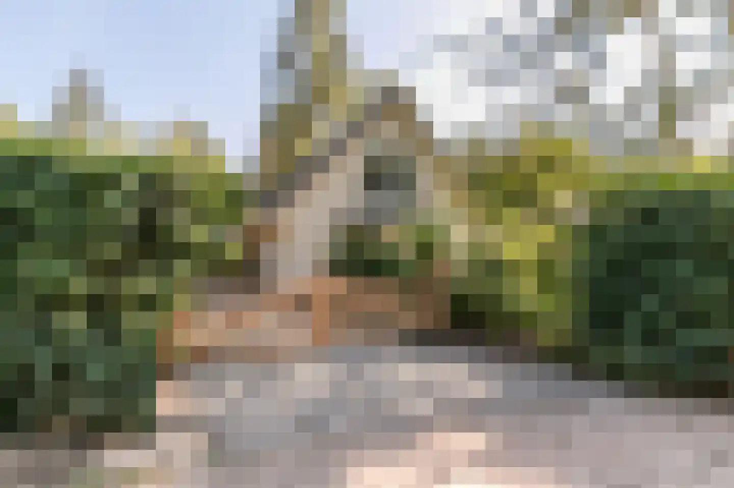 Sprengenweg 75 Epe thumbnail 4