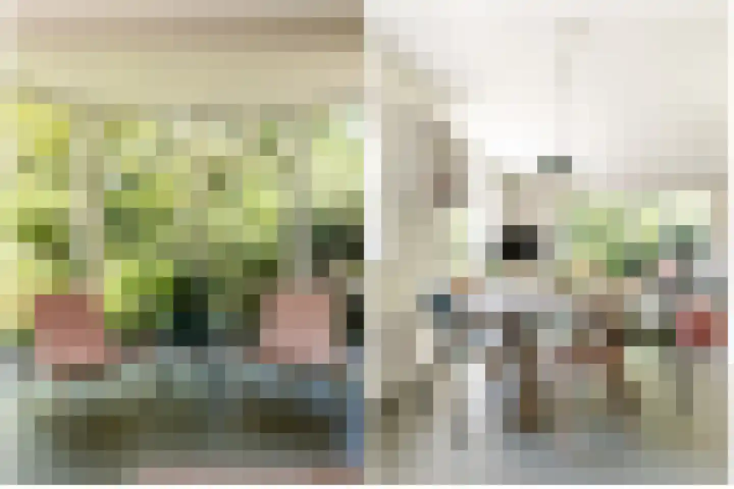Sprengenweg 75 Epe thumbnail 9