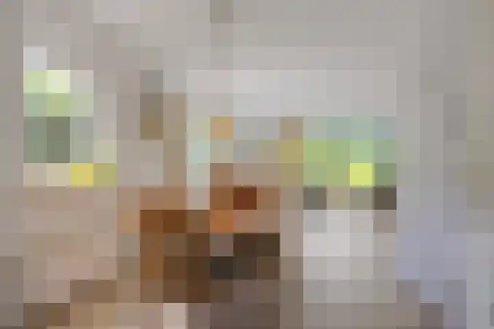 Sprengenweg 79 Epe thumbnail 10