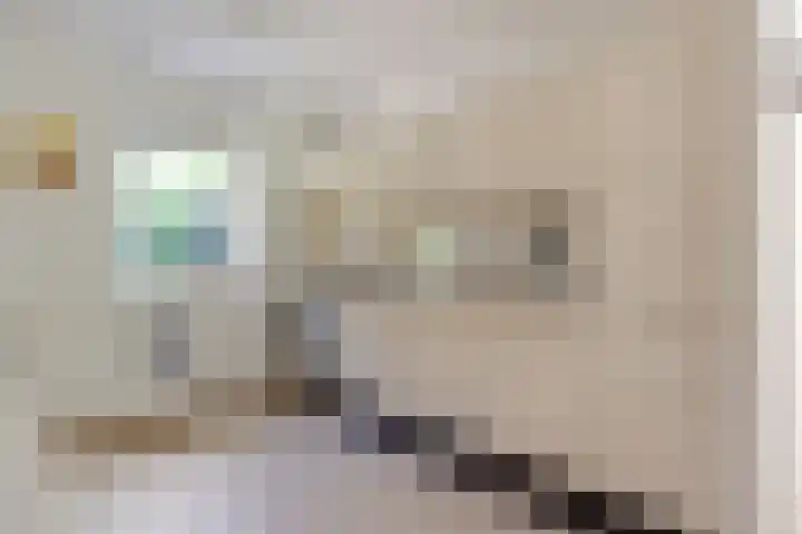 Sprengenweg 79 Epe thumbnail 15