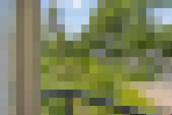 Sprengenweg 79 Epe thumbnail 24