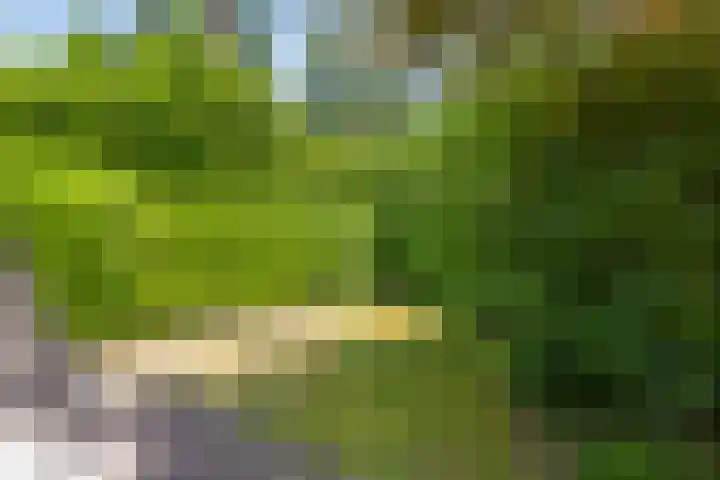 Sprengenweg 79 Epe thumbnail 31