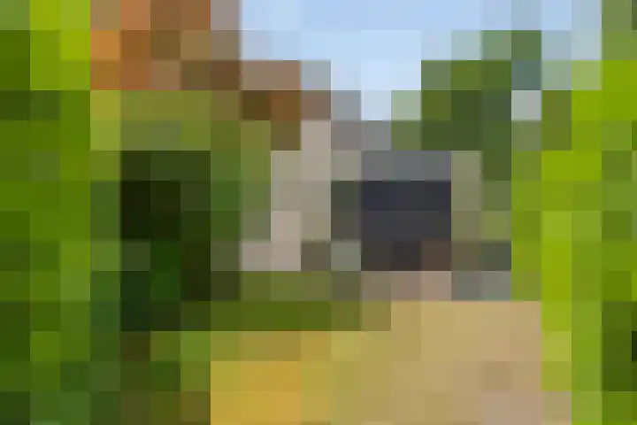 Sprengenweg 79 Epe thumbnail 32