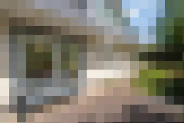 Sprengenweg 79 Epe thumbnail 33