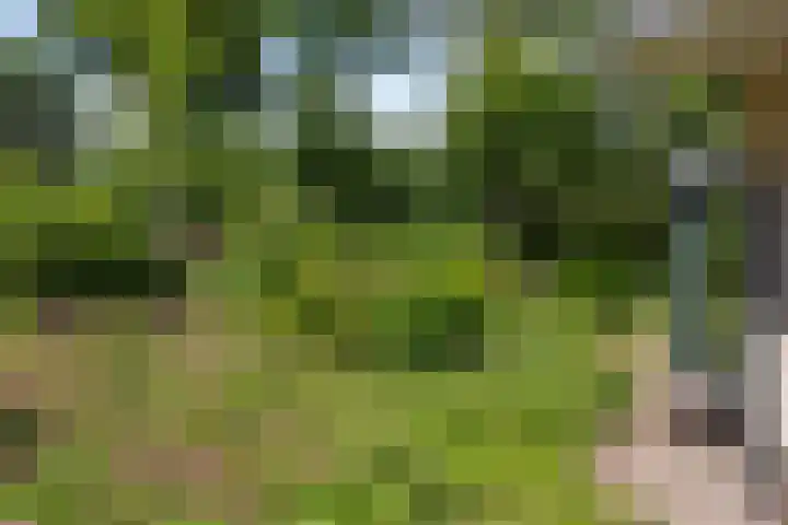 Sprengenweg 79 Epe thumbnail 34
