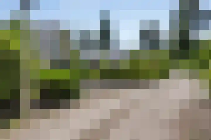 Sprengenweg 79 Epe thumbnail 35