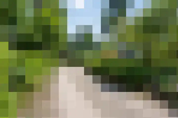 Sprengenweg 79 Epe thumbnail 36