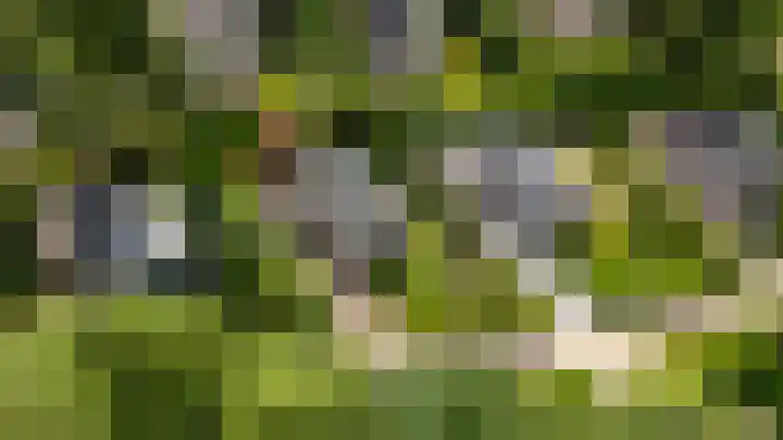 Sprengenweg 79 Epe thumbnail 37