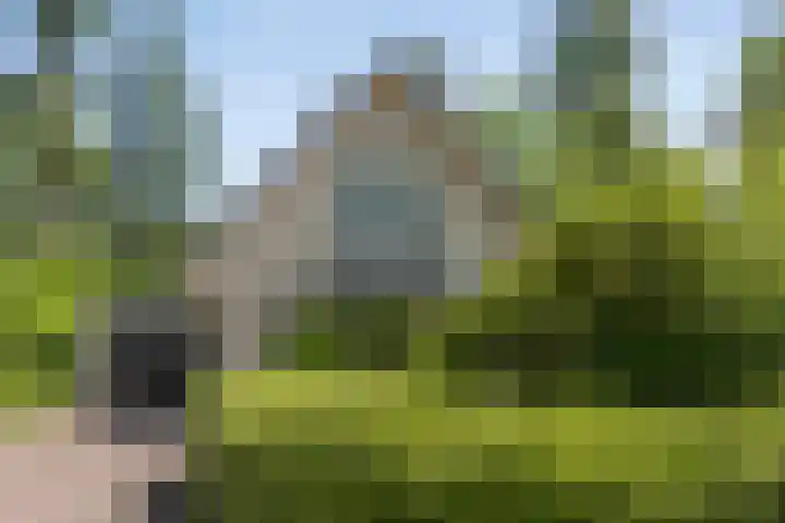 Sprengenweg 79 Epe thumbnail 4