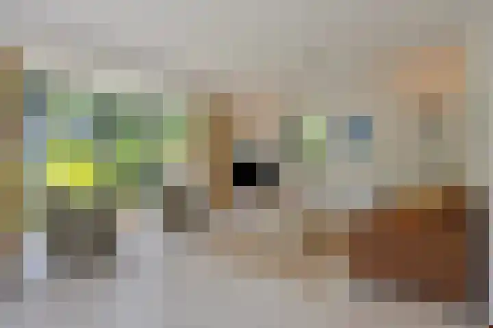 Sprengenweg 79 Epe thumbnail 6