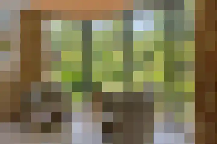 Sprengenweg 79 Epe thumbnail 8