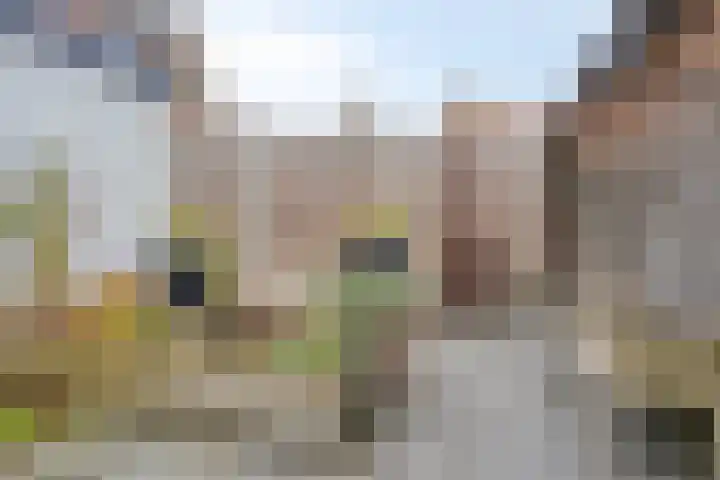 Sprengenweg 82 Apeldoorn thumbnail 36