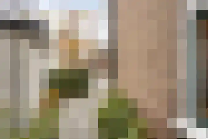 Sprengenweg 82 Apeldoorn thumbnail 39
