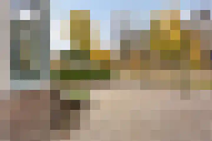 Sprengenweg 82 Apeldoorn thumbnail 6