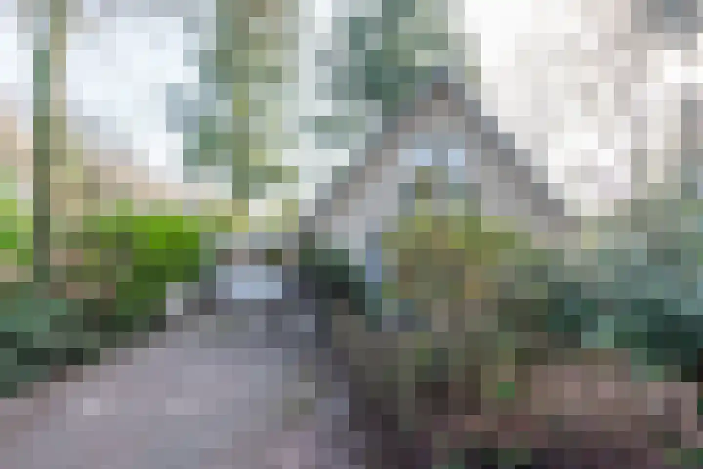 Sprengenweg 83 Epe thumbnail 10