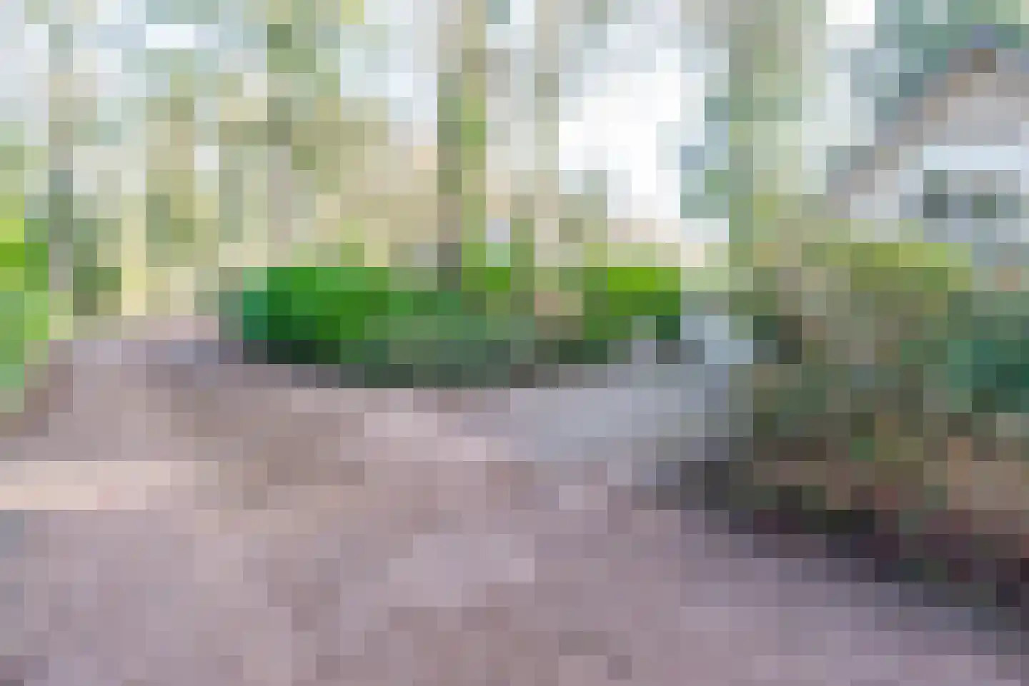 Sprengenweg 83 Epe thumbnail 11