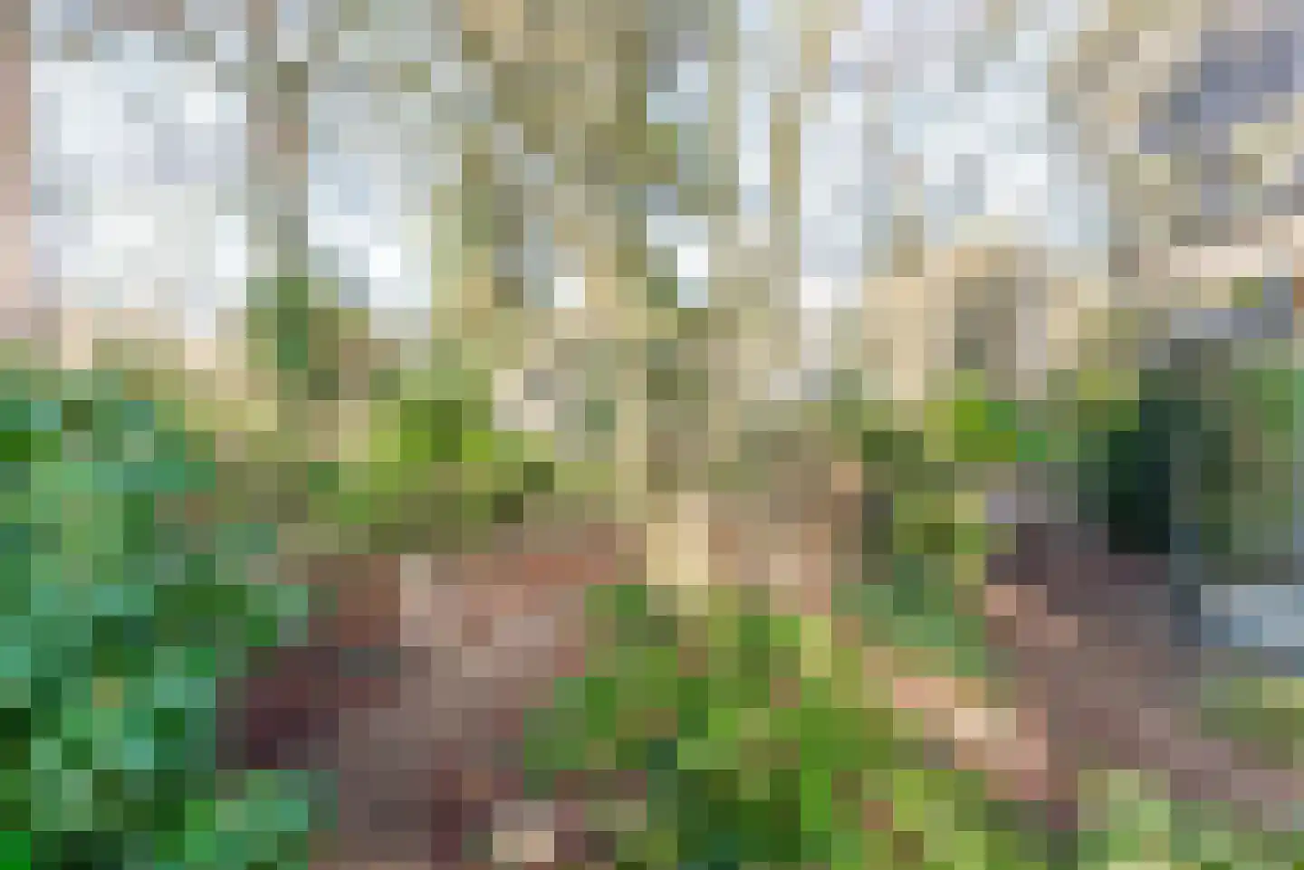 Sprengenweg 83 Epe thumbnail 17