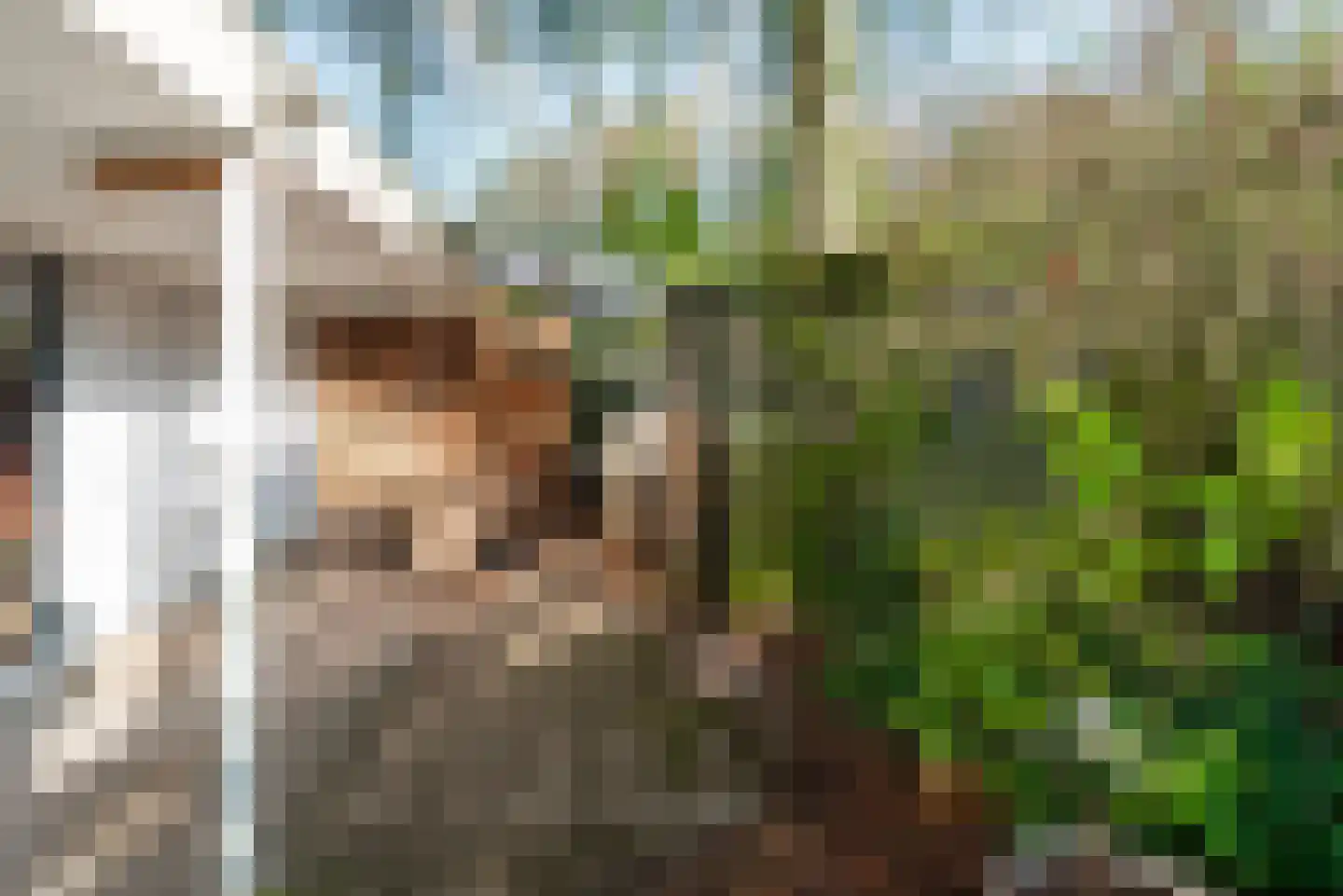 Sprengenweg 83 Epe thumbnail 21