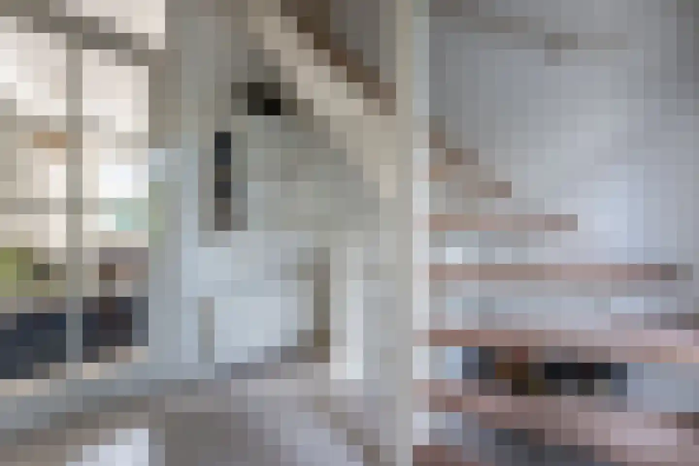 Sprengenweg 83 Epe thumbnail 23