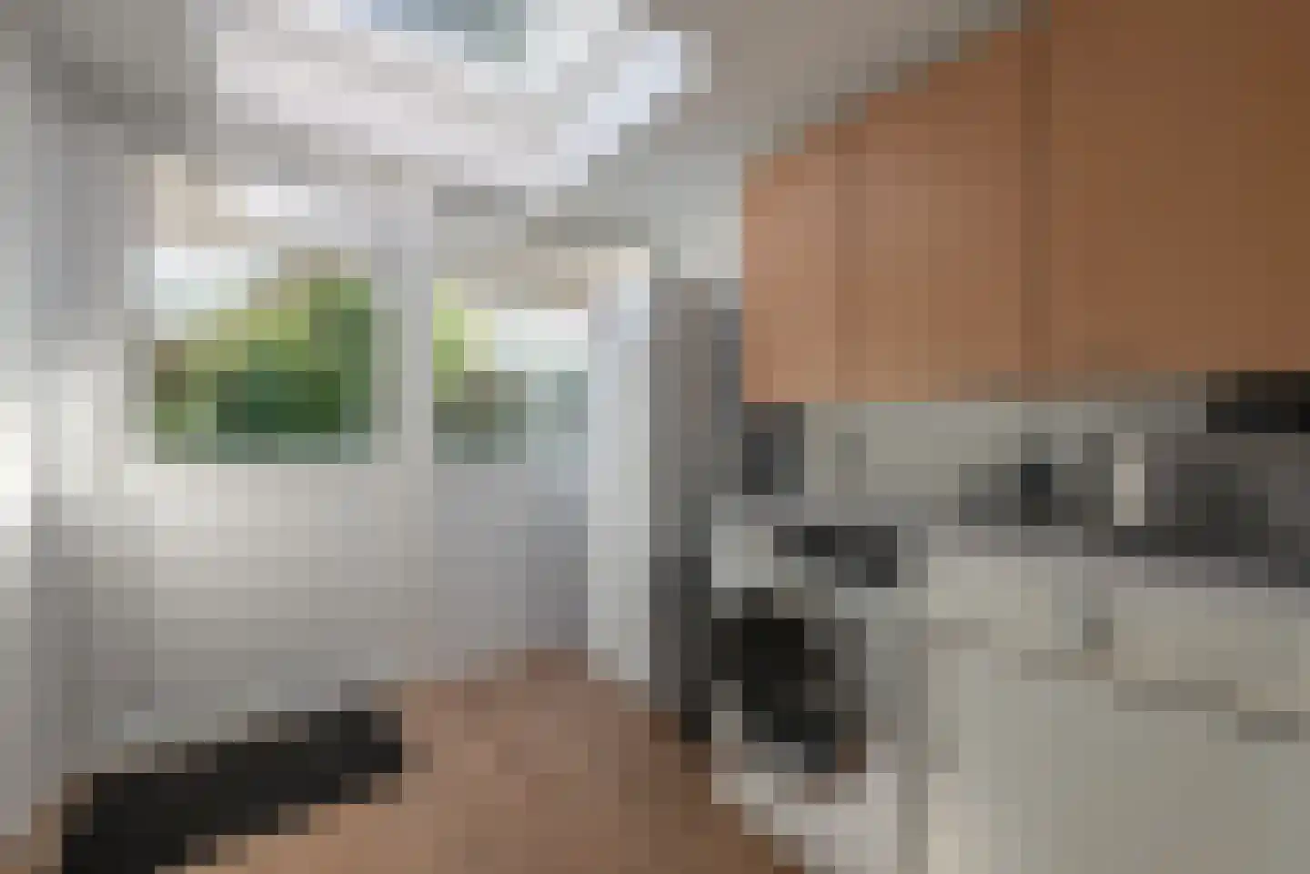 Sprengenweg 83 Epe thumbnail 36