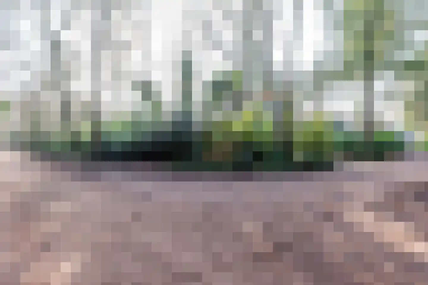 Sprengenweg 83 Epe thumbnail 53