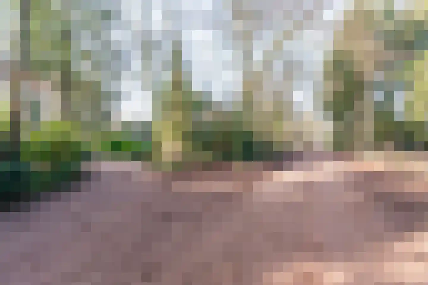 Sprengenweg 83 Epe thumbnail 54