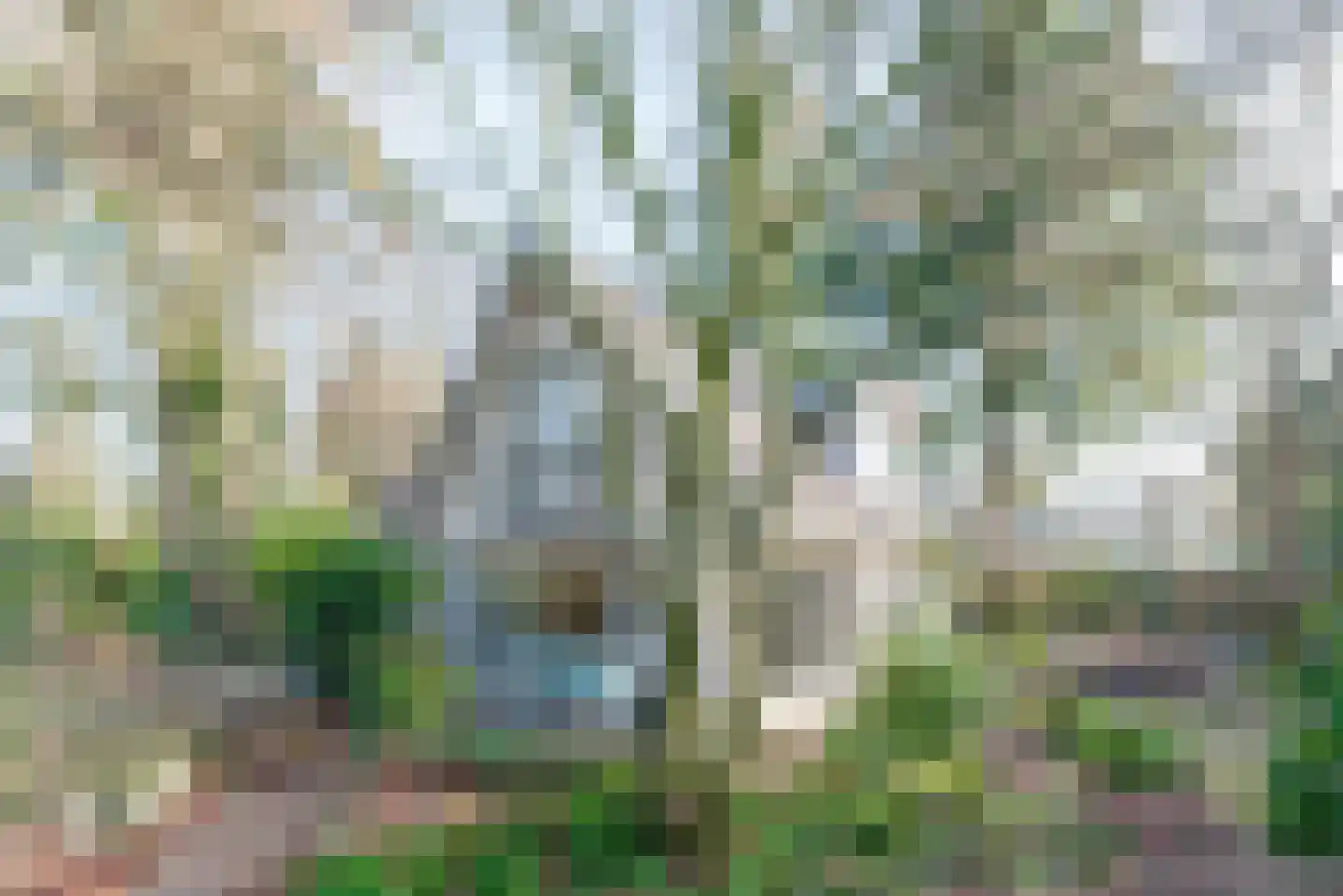 Sprengenweg 83 Epe thumbnail 55