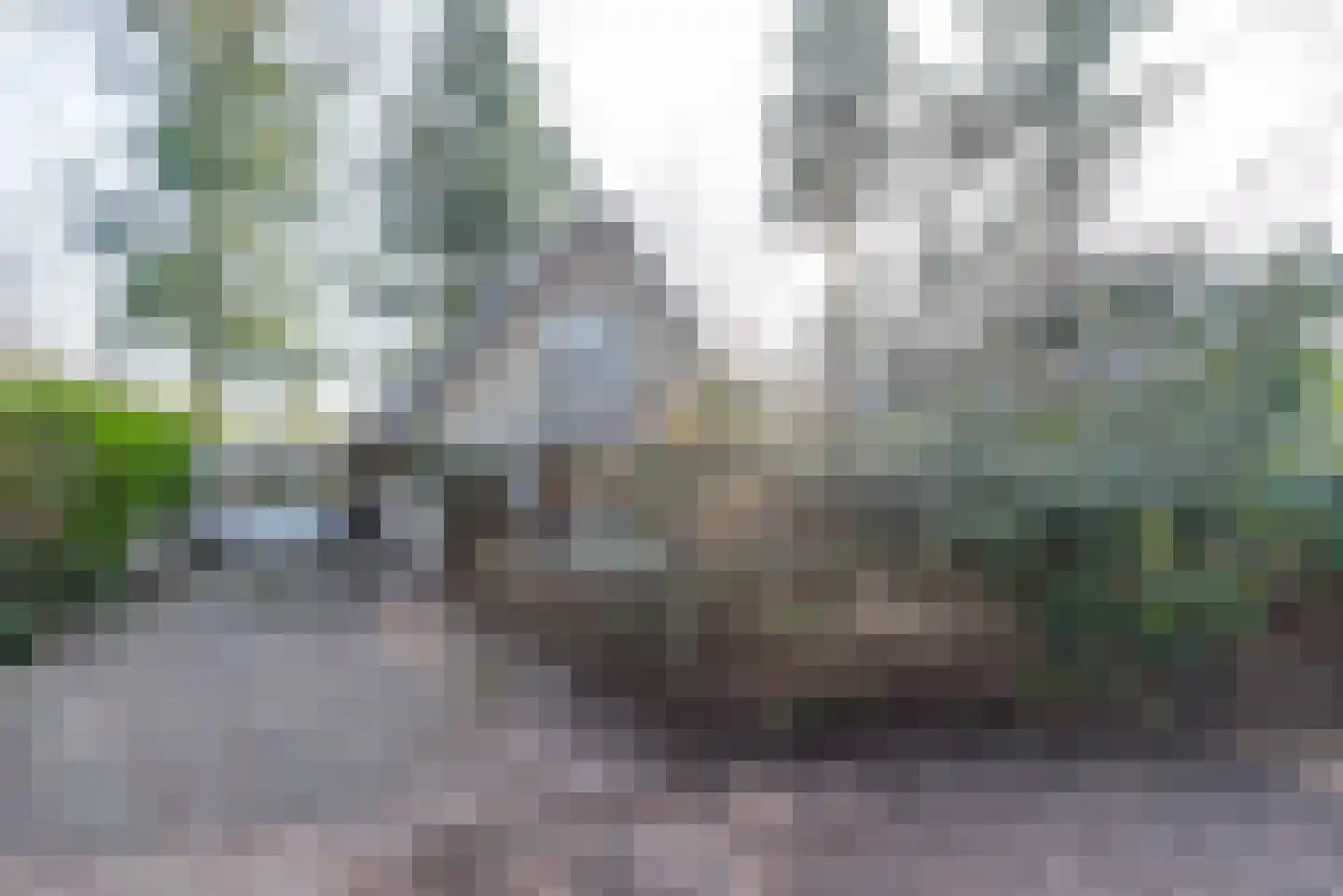 Sprengenweg 83 Epe thumbnail 9