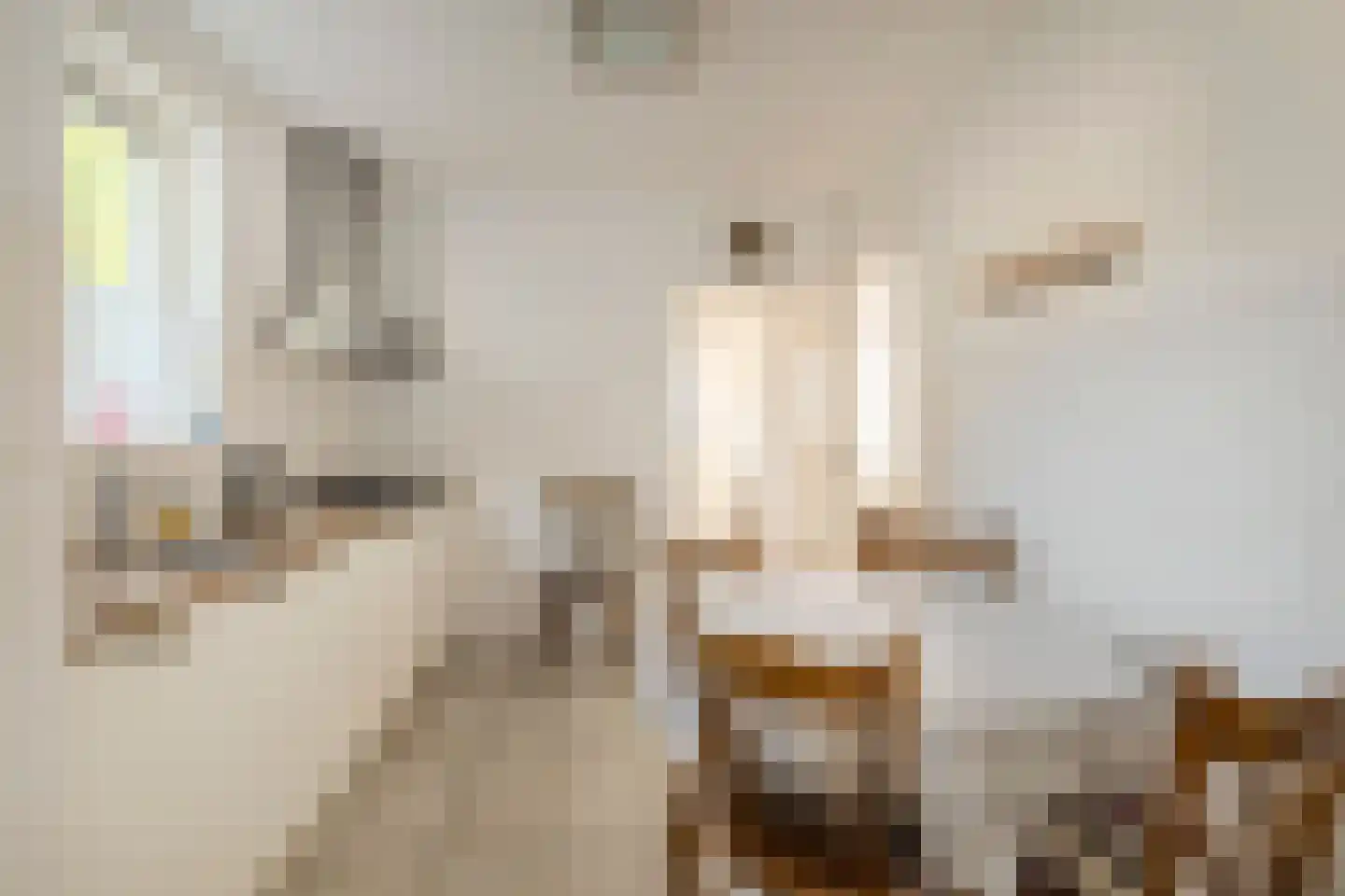 Sprenger van Eijkstraat 8 Hilvarenbeek thumbnail 10