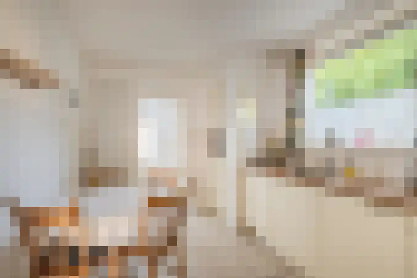 Sprenger van Eijkstraat 8 Hilvarenbeek thumbnail 11