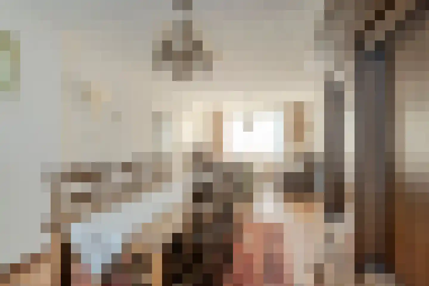 Sprenger van Eijkstraat 8 Hilvarenbeek thumbnail 8