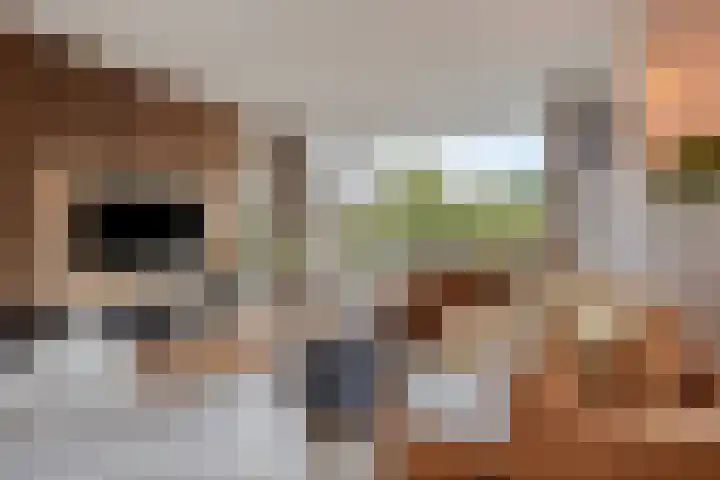 Sprengerlaan 1 II Wageningen thumbnail 10