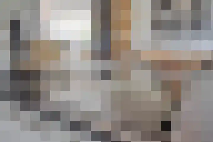 Sprengerlaan 1 II Wageningen thumbnail 15