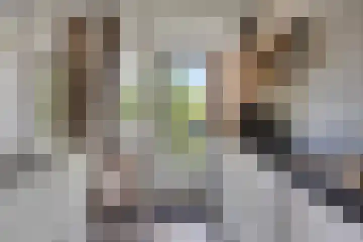 Sprengerlaan 1 II Wageningen thumbnail 16