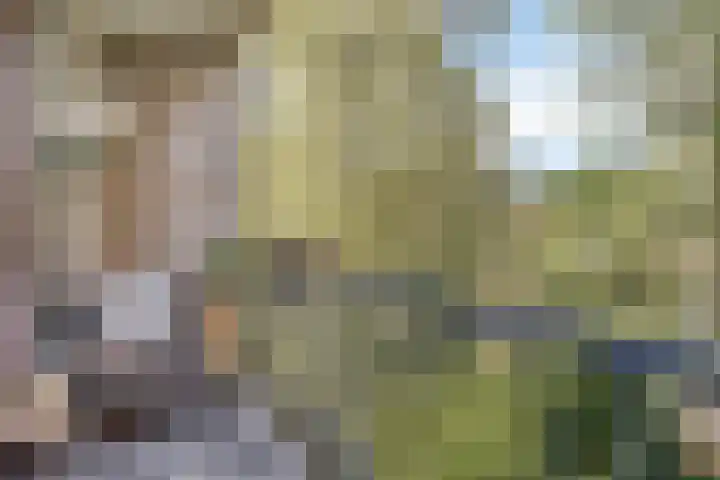 Sprengerlaan 1 II Wageningen thumbnail 17