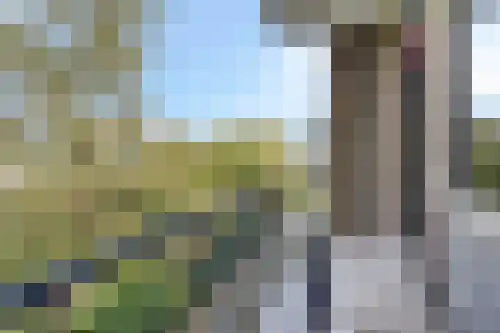 Sprengerlaan 1 II Wageningen thumbnail 18