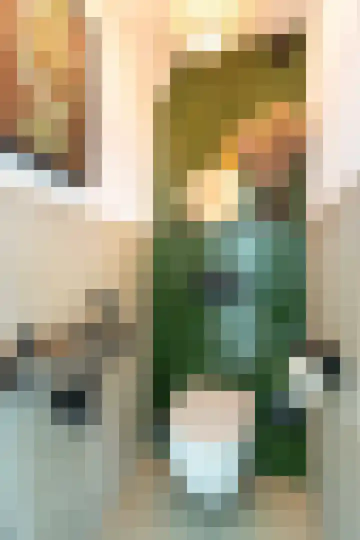 Sprengerlaan 1 II Wageningen thumbnail 24