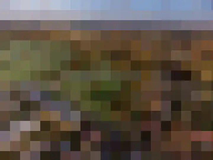 Sprengerlaan 1 II Wageningen thumbnail 29