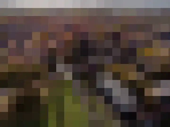 Sprengerlaan 1 II Wageningen thumbnail 31
