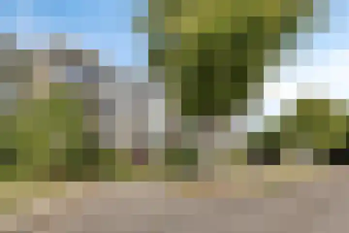 Sprengerlaan 1 II Wageningen thumbnail 33