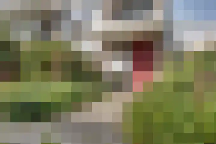 Sprengerlaan 1 II Wageningen thumbnail 36