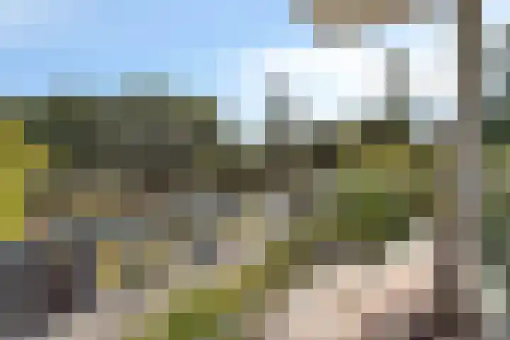 Sprengerlaan 1 II Wageningen thumbnail 5