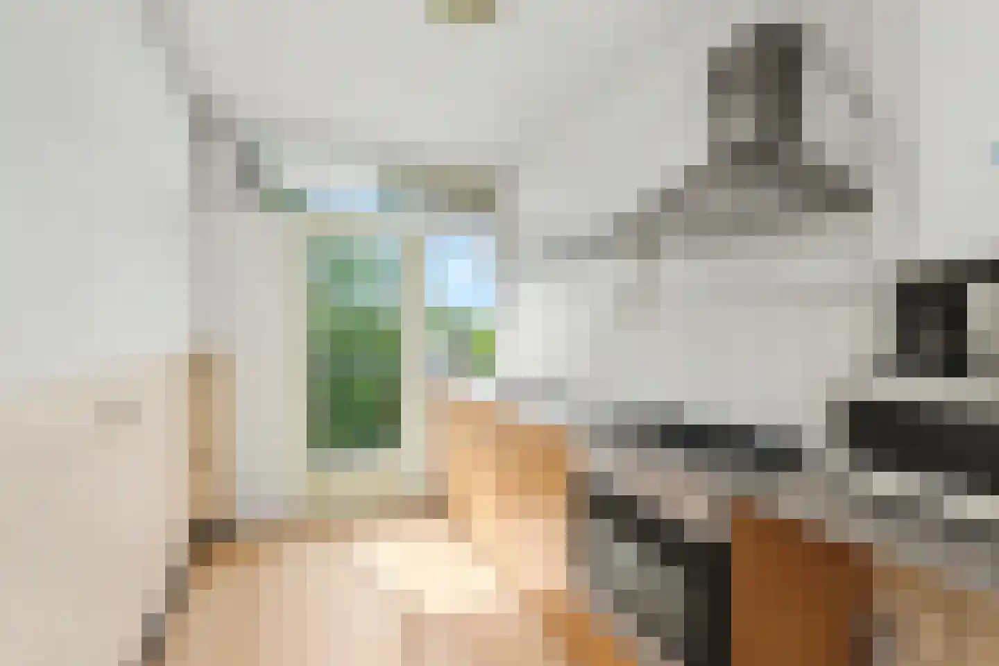 Sprengerlaan 3 II Wageningen thumbnail 15