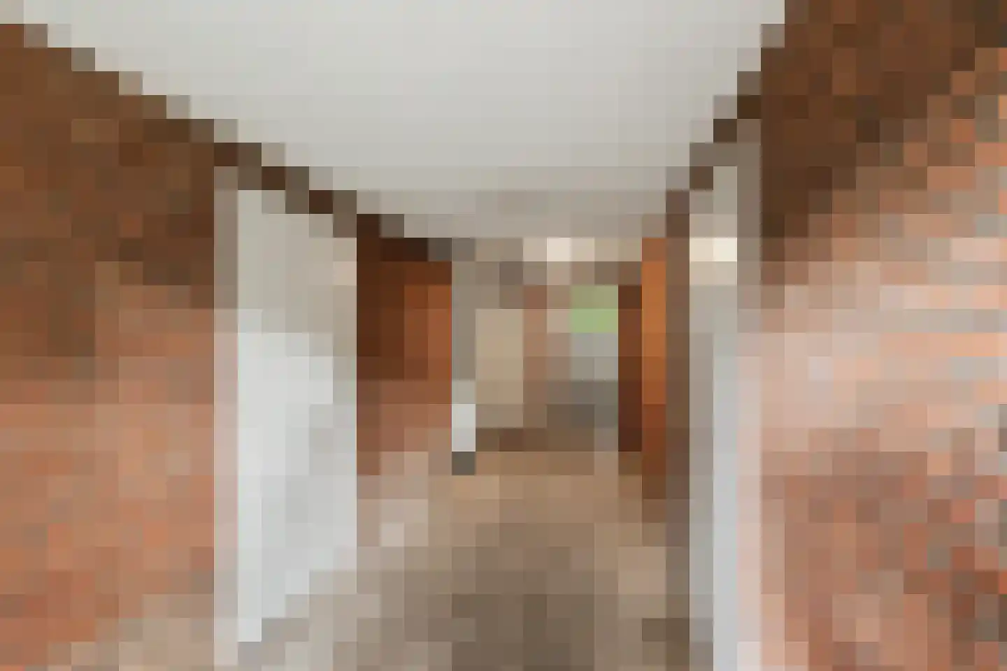 Sprengerlaan 3 II Wageningen thumbnail 22
