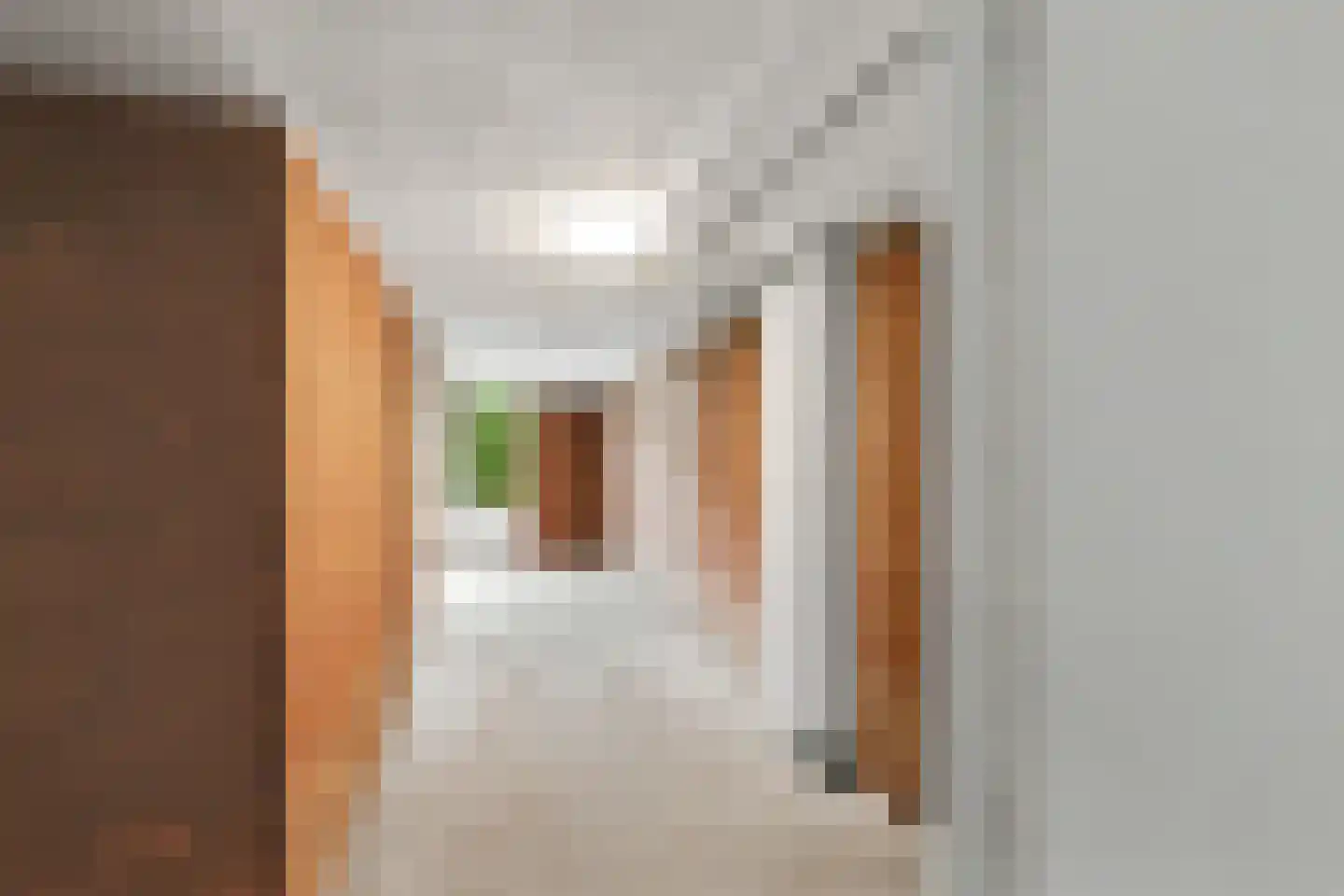 Sprengerlaan 3 II Wageningen thumbnail 23